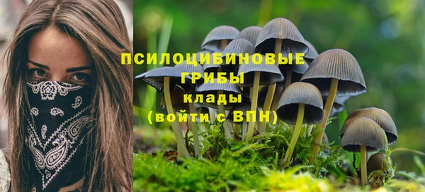 мдма Медвежьегорск