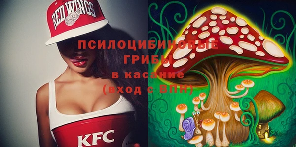мдма Медвежьегорск