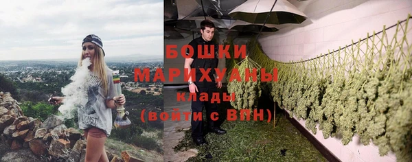 молекула духа Мегион
