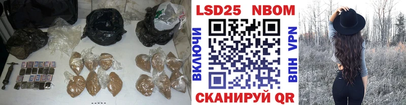 закладки  Княгинино  Лсд 25 экстази кислота 