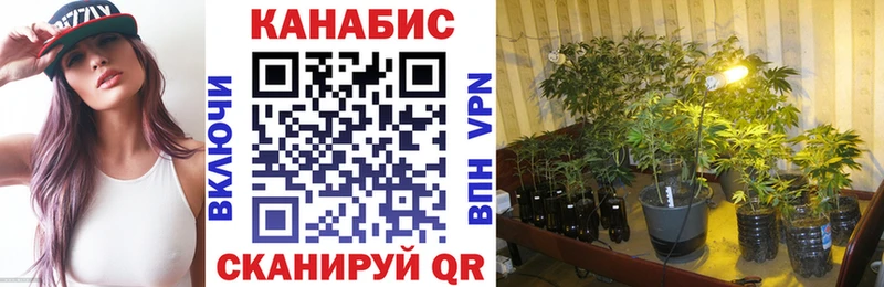 Канабис Amnesia Княгинино